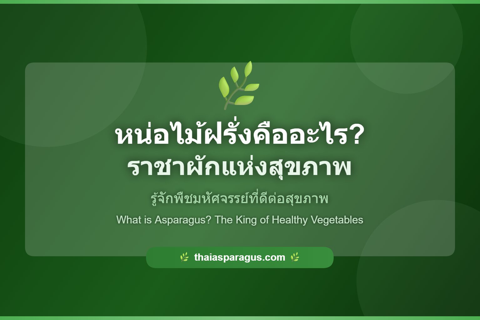 หน่อไม้ฝรั่งคืออะไร